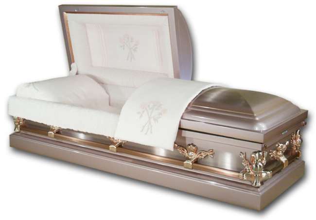 Hyacinth Mist  Brushed Steel Casket