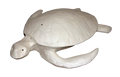 URNA DE TORTUGA - COLOCACIÓN OCÉANO/AGUA/ENTIERRO