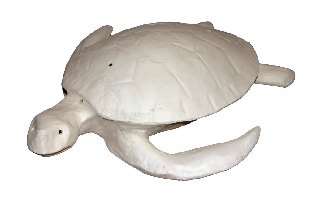 URNA DE TORTUGA - COLOCACIÓN OCÉANO/AGUA/ENTIERRO